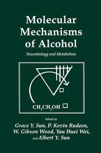 bokomslag Molecular Mechanisms of Alcohol