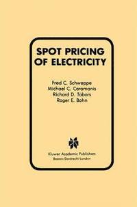 bokomslag Spot Pricing of Electricity