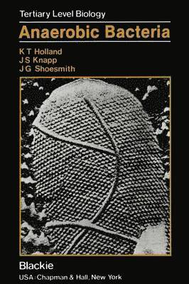 Anaerobic Bacteria