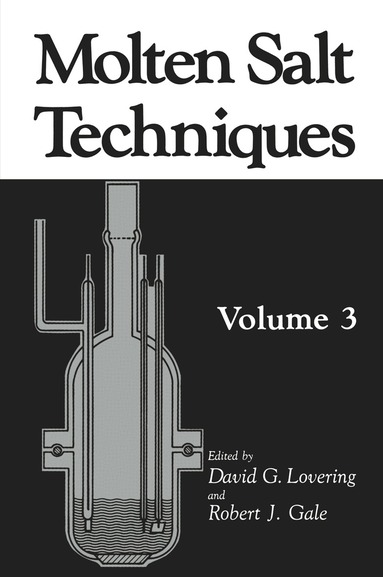 Robert J. Gale, D.G. Lovering - Molten Salt Techniques, Häftad