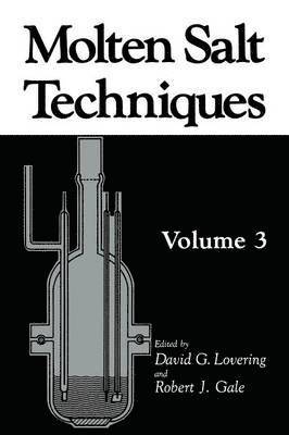 Robert J. Gale, D.G. Lovering, D. G. Lovering - Molten Salt Techniques, Häftad