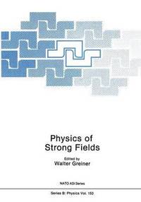bokomslag Physics of Strong Fields