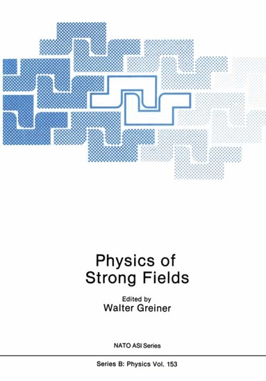 Walter Greiner - Physics of Strong Fields, Häftad