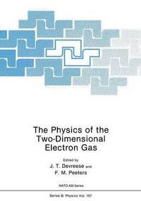 bokomslag The Physics of the Two-Dimensional Electron Gas