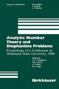bokomslag Analytic Number Theory and Diophantine Problems