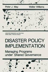 bokomslag Disaster Policy Implementation