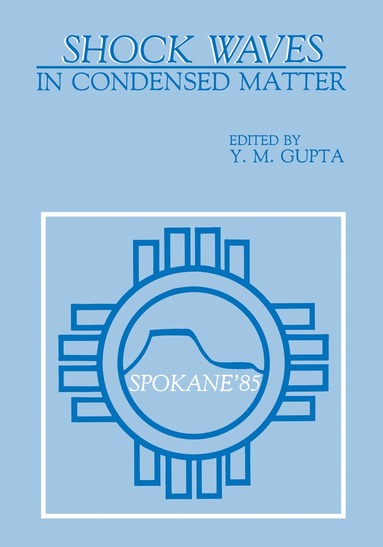 bokomslag Shock Waves in Condensed Matter