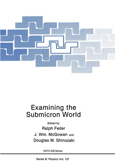 Ralph Feder, J. Wm. McGowan, Douglas M. Shinozaki - Examining the Submicron World, Häftad