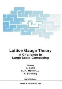 bokomslag Lattice Gauge Theory