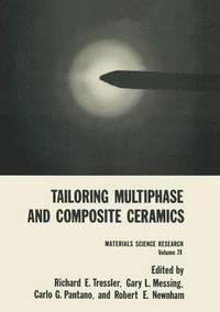 bokomslag Tailoring Multiphase and Composite Ceramics