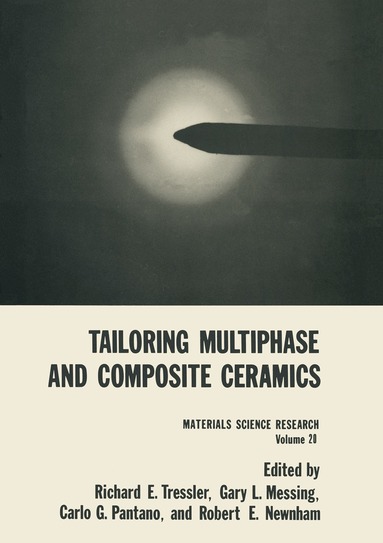 Richard E. Tressler, Gary L. Messing, Carlo G. Pantano, Robert E. Newnham - Tailoring Multiphase and Composite Ceramics, Häftad