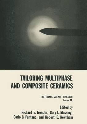 Richard E. Tressler, Gary L. Messing, Carlo G. Pantano, Robert E. Newnham - Tailoring Multiphase and Composite Ceramics, Häftad