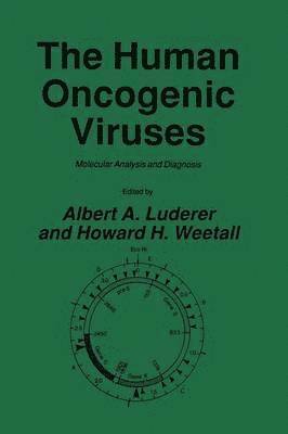 Albert A. Luderer, Howard H. Weetall - Human Oncogenic Viruses, Häftad