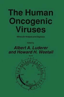 The Human Oncogenic Viruses 1