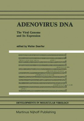 Adenovirus DNA 1
