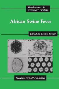 bokomslag African Swine Fever