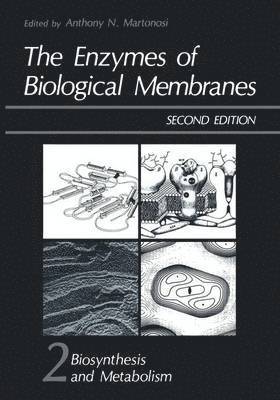 bokomslag The Enzymes of Biological Membranes