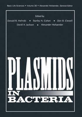 bokomslag Plasmids in Bacteria