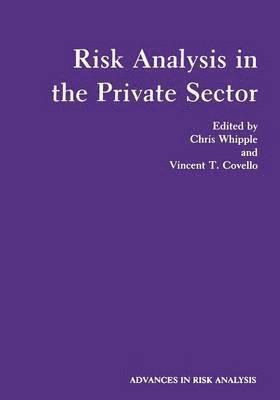 Risk Analysis in the Private Sector 1