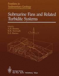 bokomslag Submarine Fans and Related Turbidite Systems
