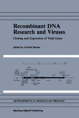 Yechiel Becker - Recombinant DNA Research and Viruses, Häftad