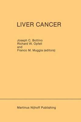 bokomslag Liver Cancer