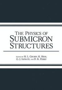 bokomslag The Physics of Submicron Structures