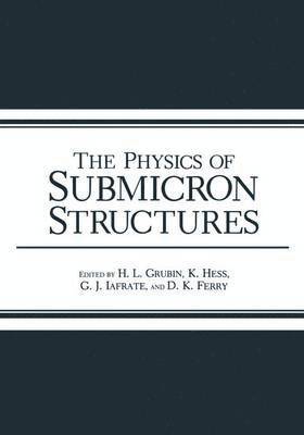 bokomslag The Physics of Submicron Structures