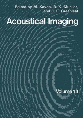 bokomslag Acoustical Imaging