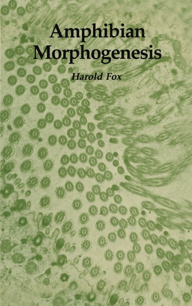 Harold Fox - Amphibian Morphogenesis, Häftad
