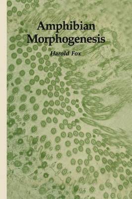 bokomslag Amphibian Morphogenesis