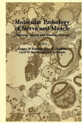 Antony D. Kidman, John K. Tomkins, Carol A. Morris, Neil A. Cooper - Molecular Pathology of Nerve and Muscle, Häftad