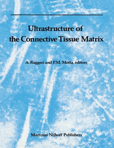 P. Motta, A. Ruggeri - Ultrastructure of the Connective Tissue Matrix, Häftad