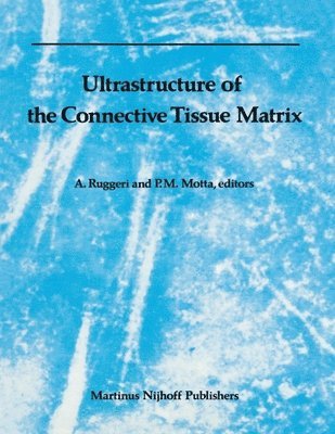 Ultrastructure of the Connective Tissue Matrix 1