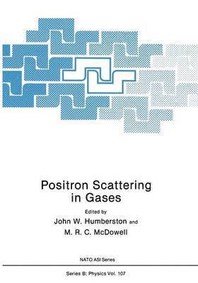 bokomslag Positron Scattering in Gases