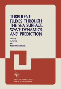 bokomslag Turbulent Fluxes Through the Sea Surface, Wave Dynamics, and Prediction