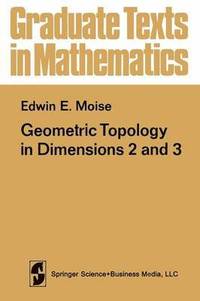 bokomslag Geometric Topology in Dimensions 2 and 3