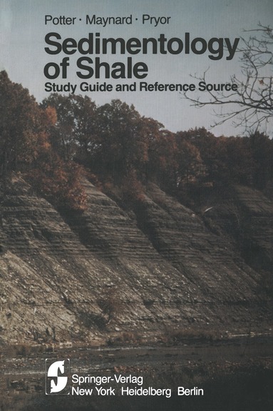 bokomslag Sedimentology of Shale