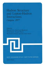 bokomslag Hadron Structure and Lepton-Hadron Interactions