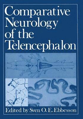 Sven O. Ebbesson - Comparative Neurology of the Telencephalon, Häftad