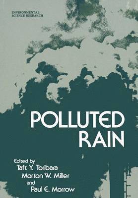 bokomslag Polluted Rain