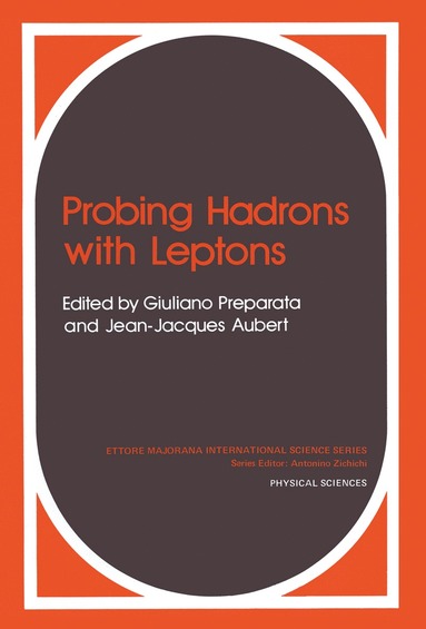 bokomslag Probing Hadrons with Leptons