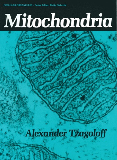 bokomslag Mitochondria