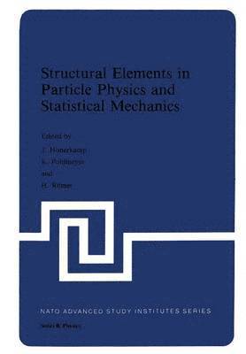 J. Hoonerkamp, K. Pohlmeyer, H. Romer - Structural Elements in Particle Physics and Statistical Mechanics, Häftad