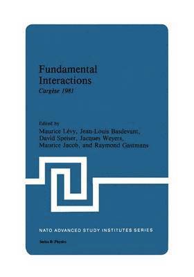 Fundamental Interactions 1