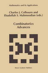 bokomslag Combinatorics Advances