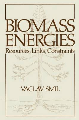bokomslag Biomass Energies
