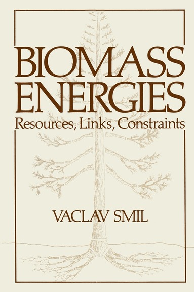 bokomslag Biomass Energies