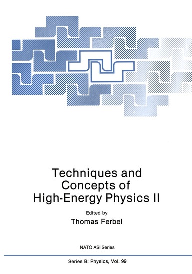Thomas Ferbel - Techniques and Concepts of High-Energy Physics II, Häftad