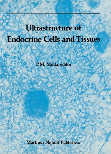 P. Motta - Ultrastructure of Endocrine Cells and Tissues, Häftad
